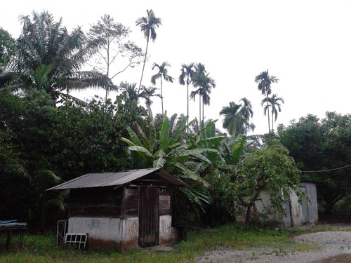 2013 05 05 13.34.36.jpg