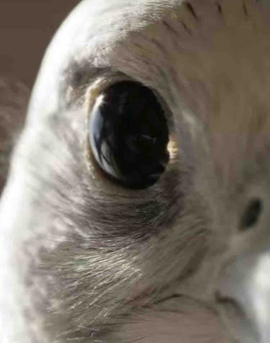 6B4EB288 F958 4213 98B8 38ACC3C3C8FB.jpg