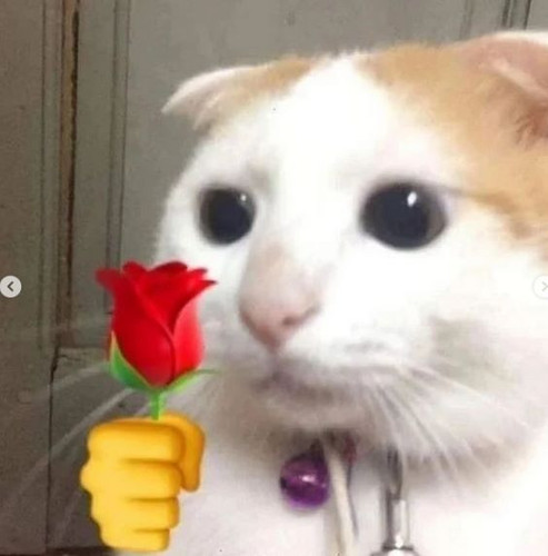 gf.jpg