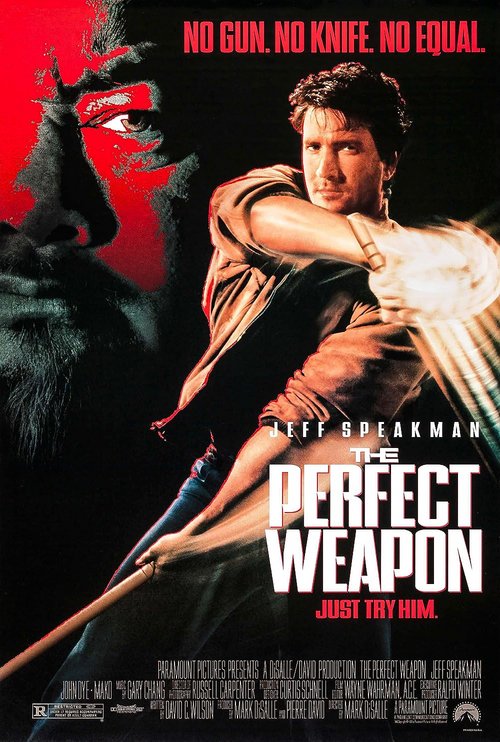 Niezawodna obrona / The Perfect Weapon (1991) PL,BDRip.H264-wasik / Lektor PL