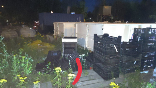 photo 2023 07 25 04 27 17.jpg