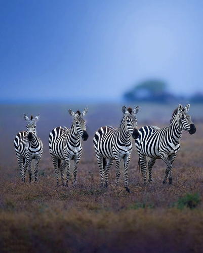 Screenshot 20230723 124115 Instagram.png