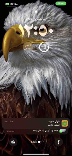 735DF012 B42A 403F 9D75 928A35AD59F0.jpg