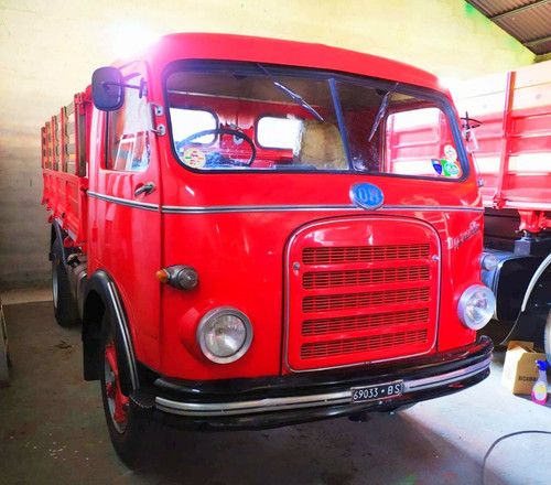 292204888 10224880050619998 409467795891114319 n.jpg