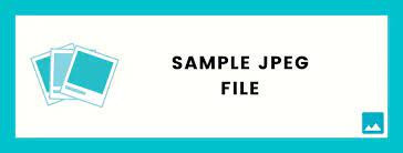 1690220200166 wtyf2m5rgjr .jpg