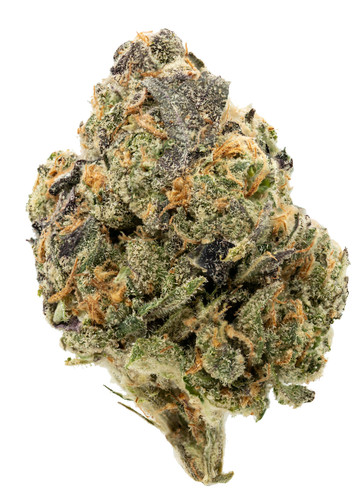 Tropical Truffle Runtz.jpg