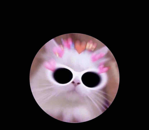 F060F5A1 749B 4BD6 9A79 2D0EDF79459E.jpg