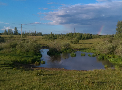 IMG 20230721 194722s.jpg