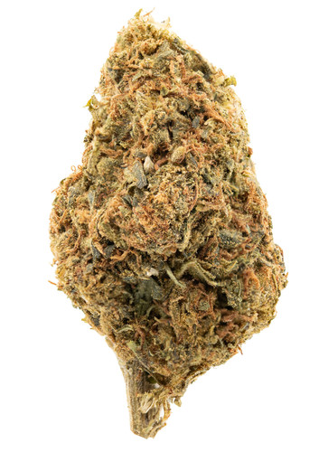 Pineapple Diesel.jpg