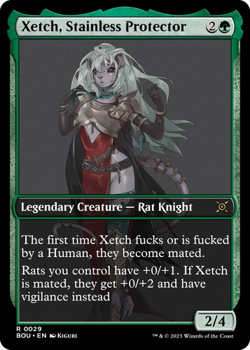 Xetch Stainless Protector.png