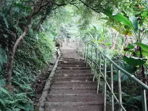 0005 新溪洲山登山步道.webp
