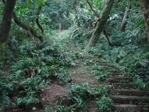 0014 溪洲山登山步道.webp