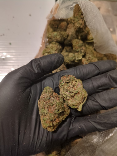 IMG 20230707 110521 991.jpg