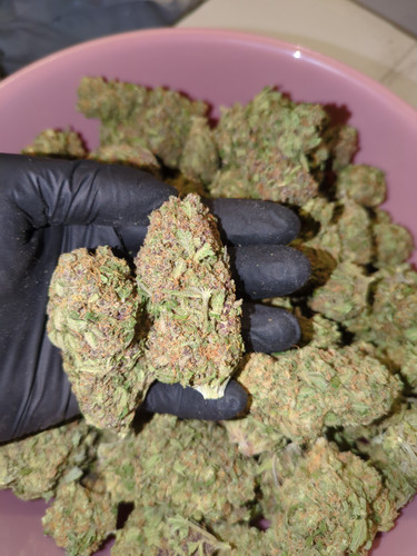 IMG 20230707 103741 761.jpg