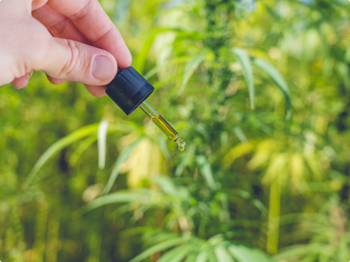 cosmetics promo resize.webp.png