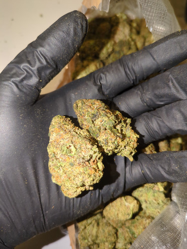 IMG 20230707 110555 854.jpg