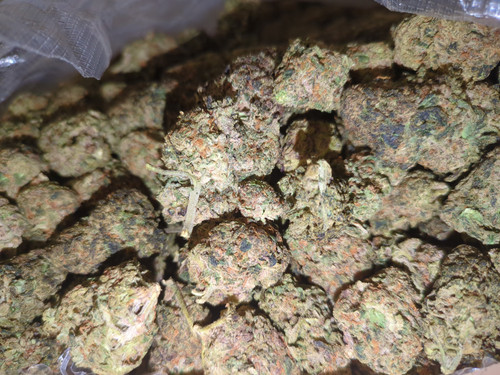 IMG 20230707 110707 414.jpg