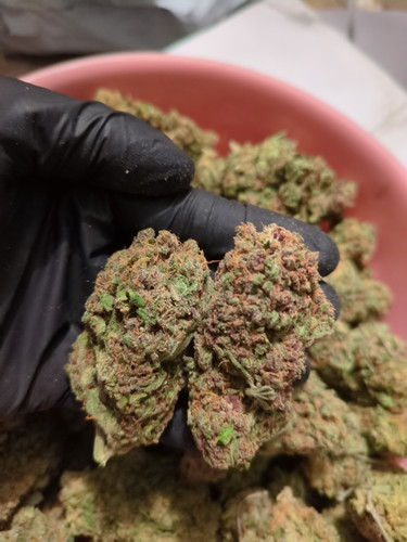 IMG 20230707 103722 399.jpg