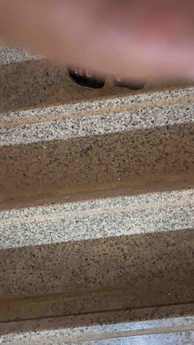 BF848B56 0ABC 4394 B83A B0EE67E336FB.jpg