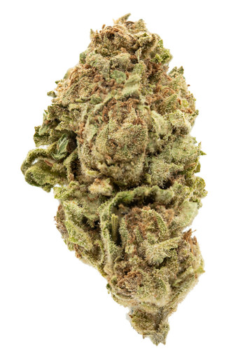 Blueberry Muffin.jpg