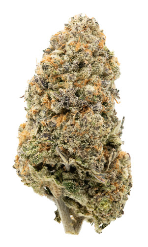 Purple Punch Pop.jpg