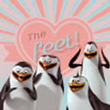 1x19bPenguins thefeet