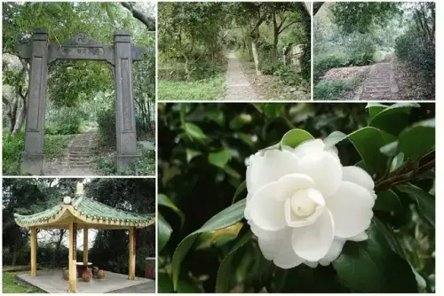 0002 齋明寺古道.webp