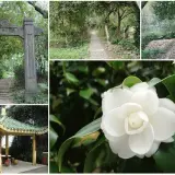 0002 齋明寺古道