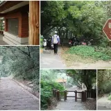 0007 御成路古道