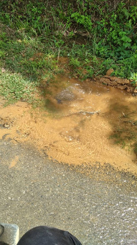 WhatsApp Image 2023 07 24 at 11.49.34 AM.jpg