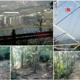 0009 溪洲山步道