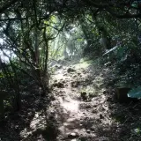 0008 溪洲山登山步道