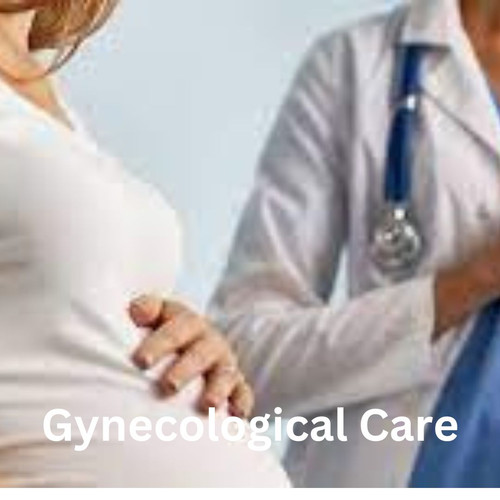 Gynecological Care.jpg