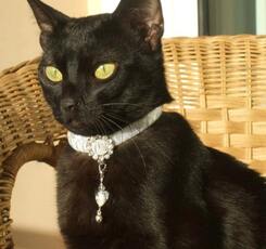 ezgif 3 2b8ffb6a7b.jpg