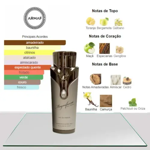 ARMAF MAGNIFICENT EDP POUR HOMME top4.webp