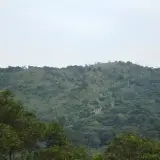 羊稠步道遠眺仁愛路