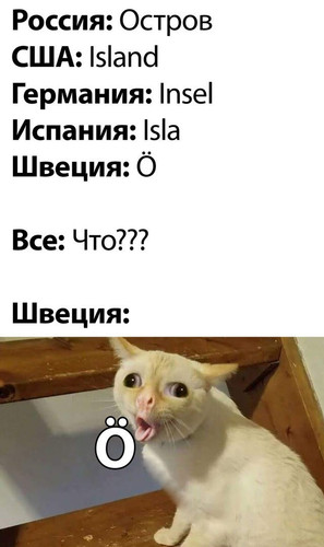 4956861 original.jpg