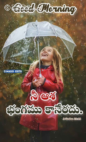 IMG 20230721 WA0010.jpg