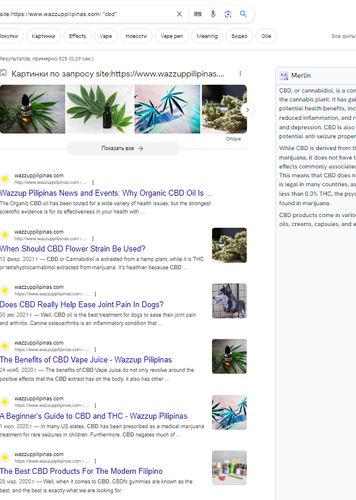 scrnli 24 07 2023 21 16 25.png