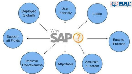 WhatsApp Image 2023 07 13 at 10.52.11 AM.jpg