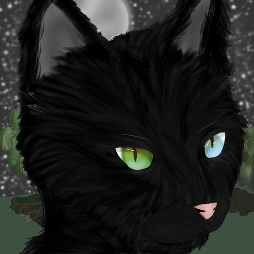 PFP Made by Friend!.png