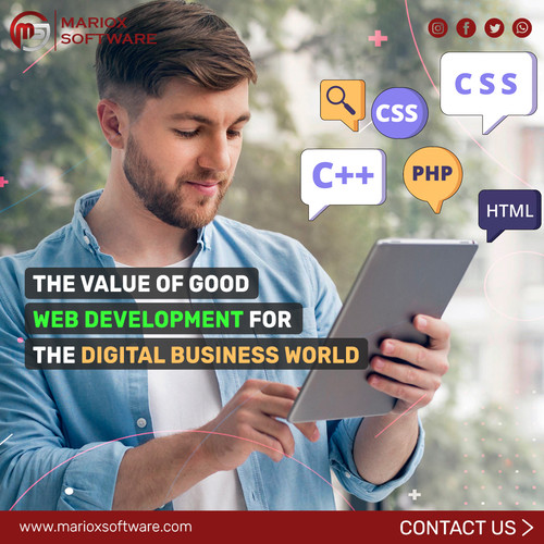 The Value of Good Web Development for the Digital Business World.jpg