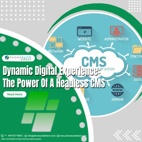 Dynamic Digital Experience The Power Of A Headless CMS.jpg