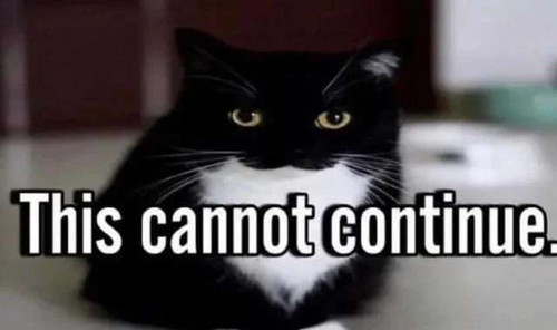 RDT 20230622 1715397978015659111414730.jpg