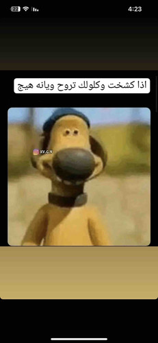 9276448A 2C91 43A8 ADBB 1188C17967A0.jpg