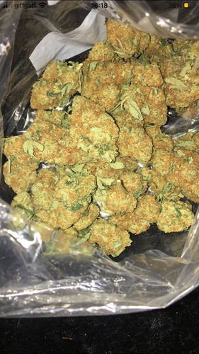 F44F988A 7DA4 477B 852D 7F3E0A664E59.png