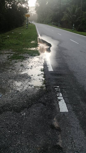 7fede464 bf16 4a46 86f4 29970c8ee833.jpg