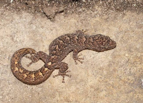 images 2023 07 23T141532.985.jpg