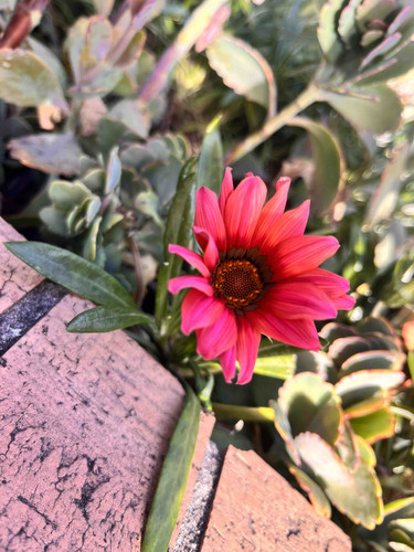 4FF9F6EE B08D 4E60 9499 FB3A371BEAA4.jpg