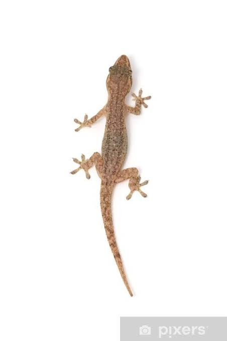 images 2023 07 23T142115.748.jpg